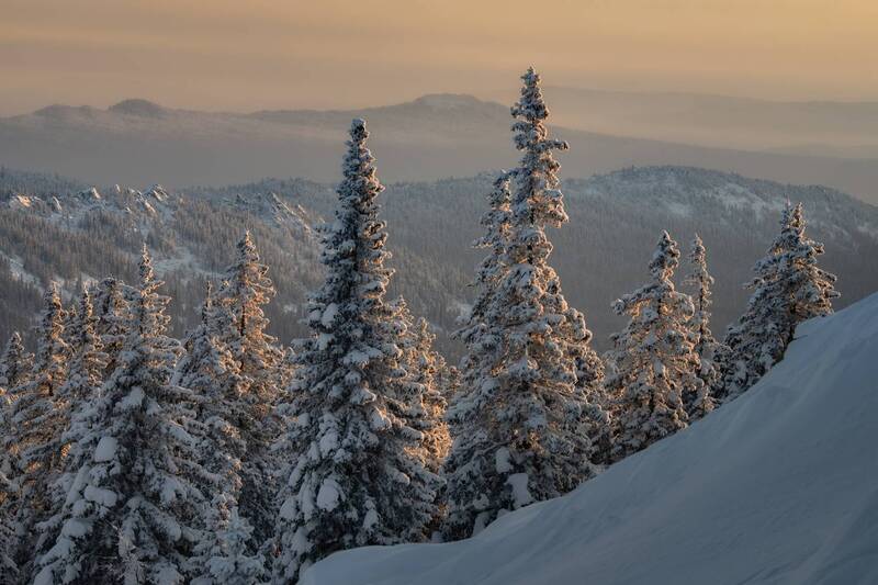 таганай, южныйурал, златоуст, зима Елочки на Откликном гребне Национальный парк Таганай фото превью