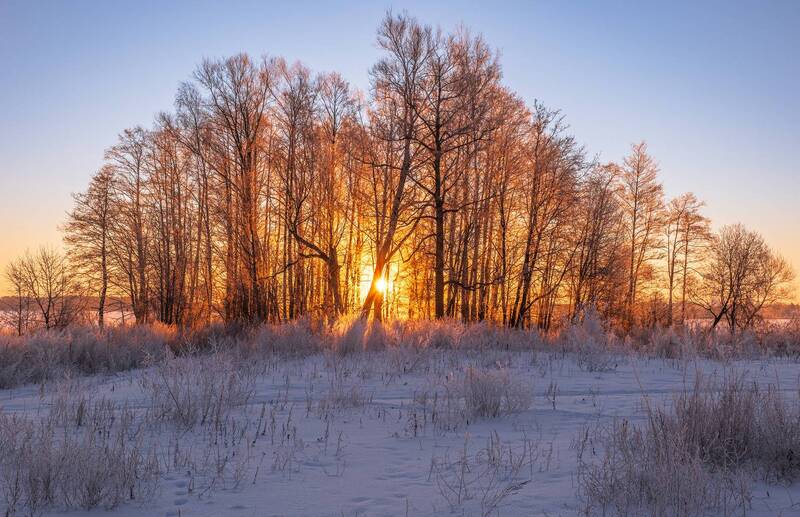 Морозное утро фото превью