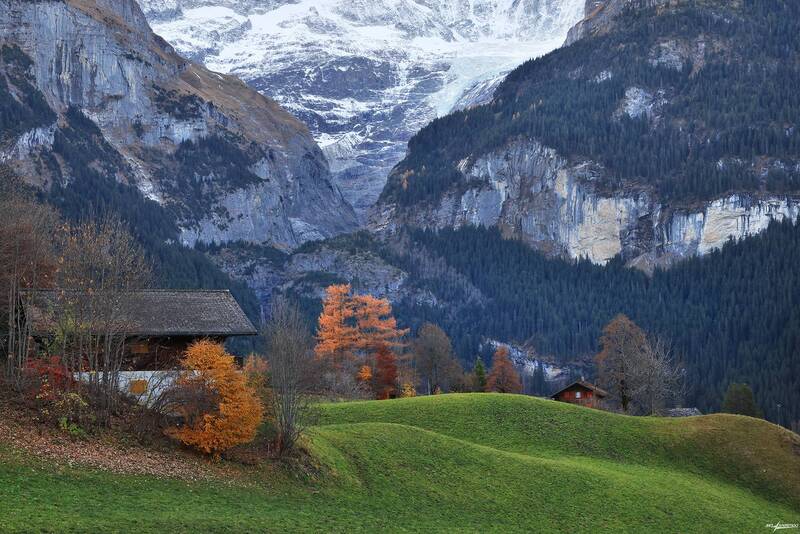 swiss Осень.. фото превью