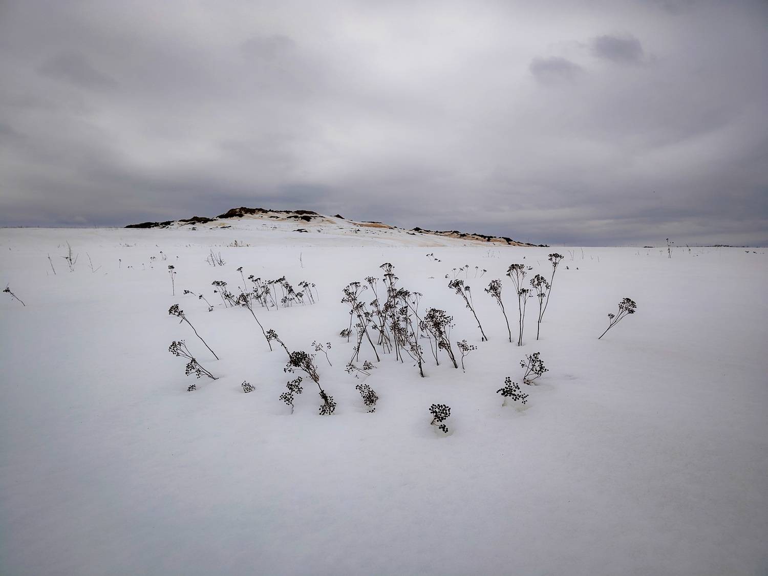 , Кондрашова Светлана