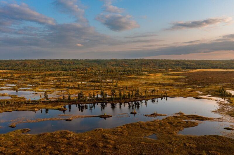 тундра, болото, небо, осень, полет Тундра фото превью