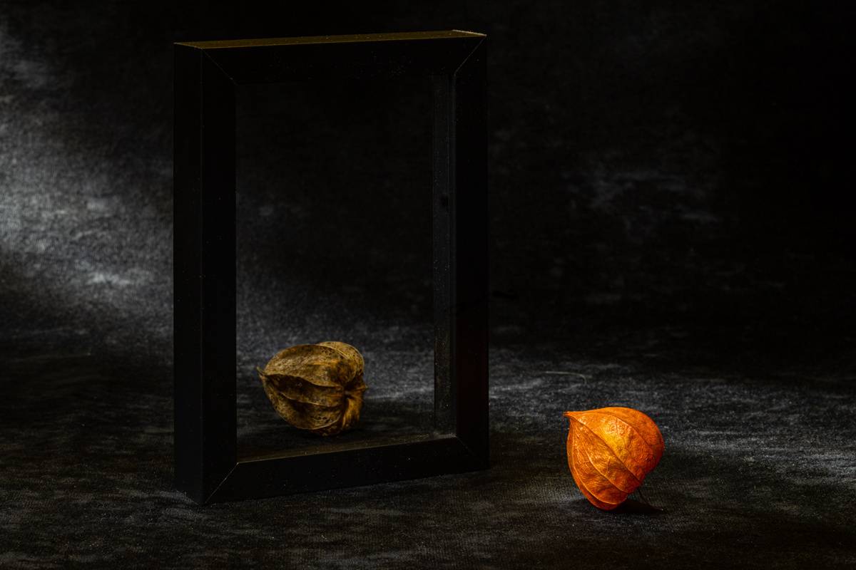 , Игорь Копцев