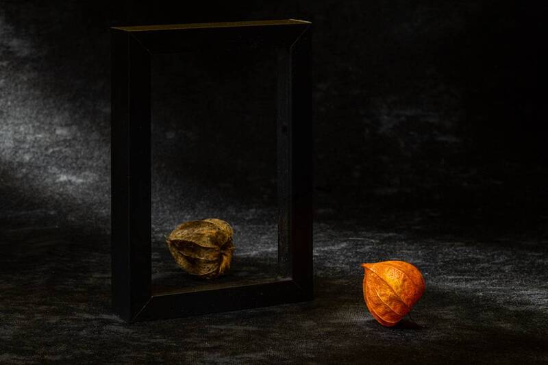 Этюд с физалисом Х фото превью