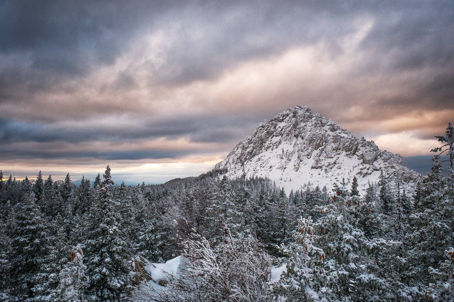 , Бодрягин Виталий