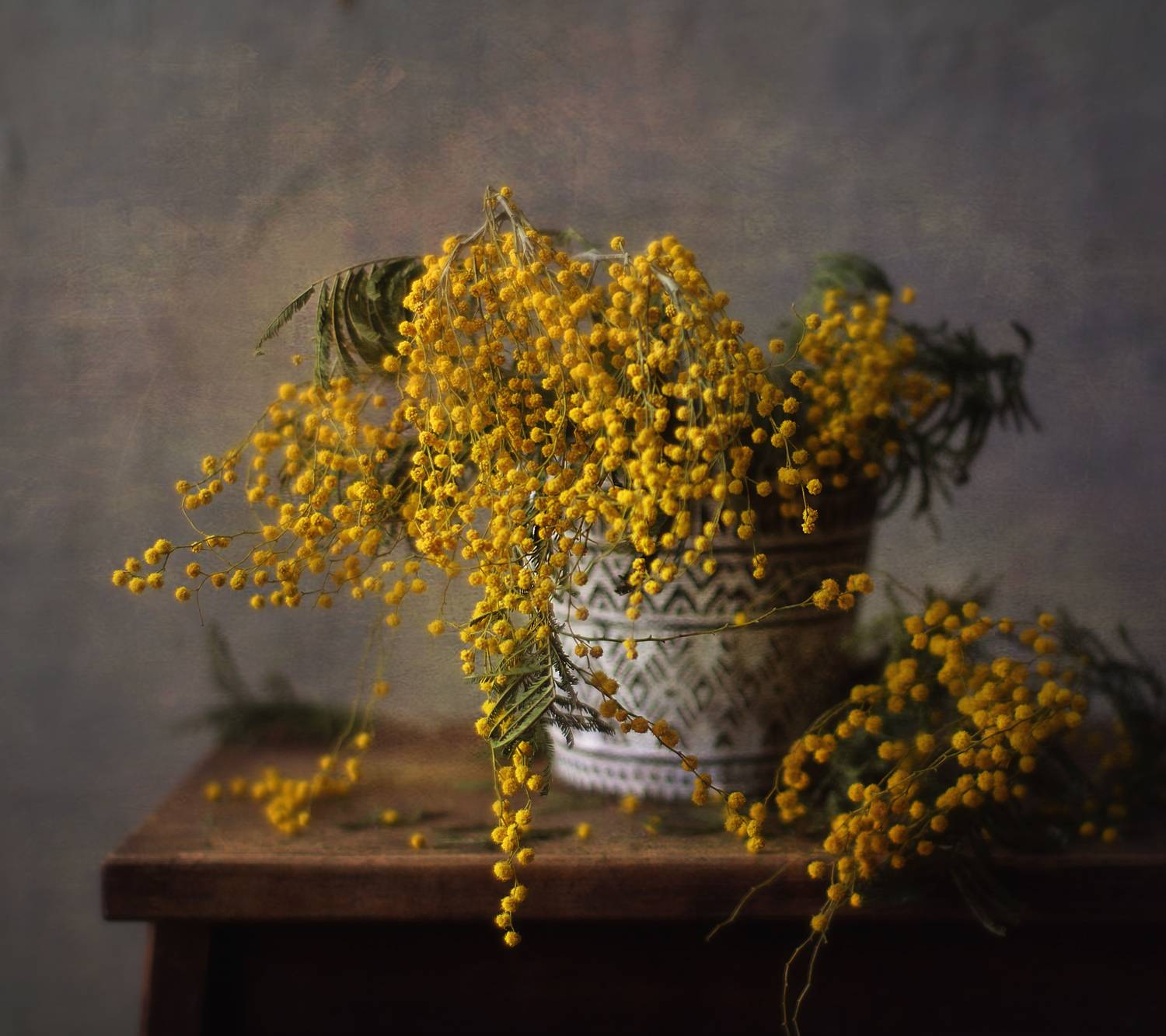 натюрморт, мимоза, весна, март, цветы, Наталия К