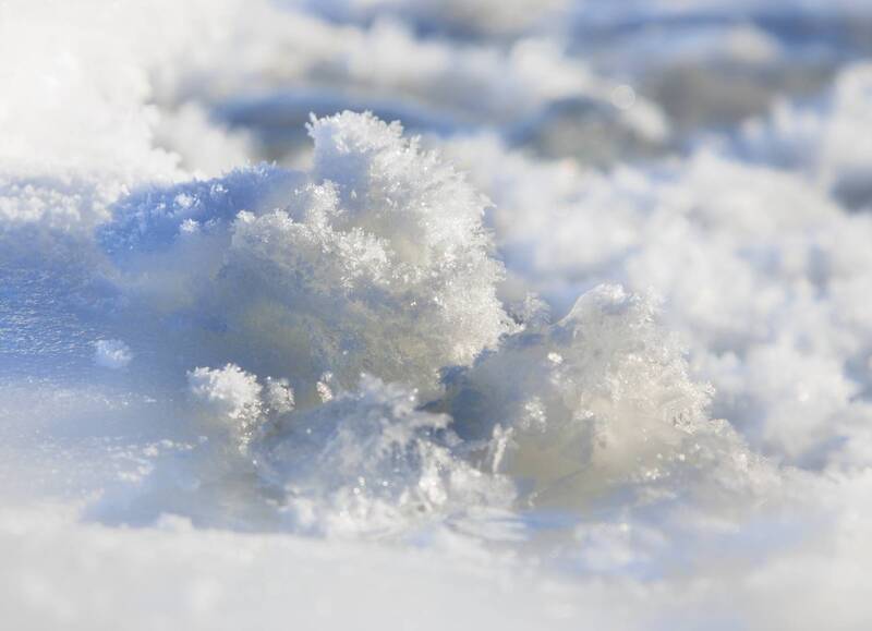зима, снег, иней, мороз, солнце, холод Снежная поросль фото превью