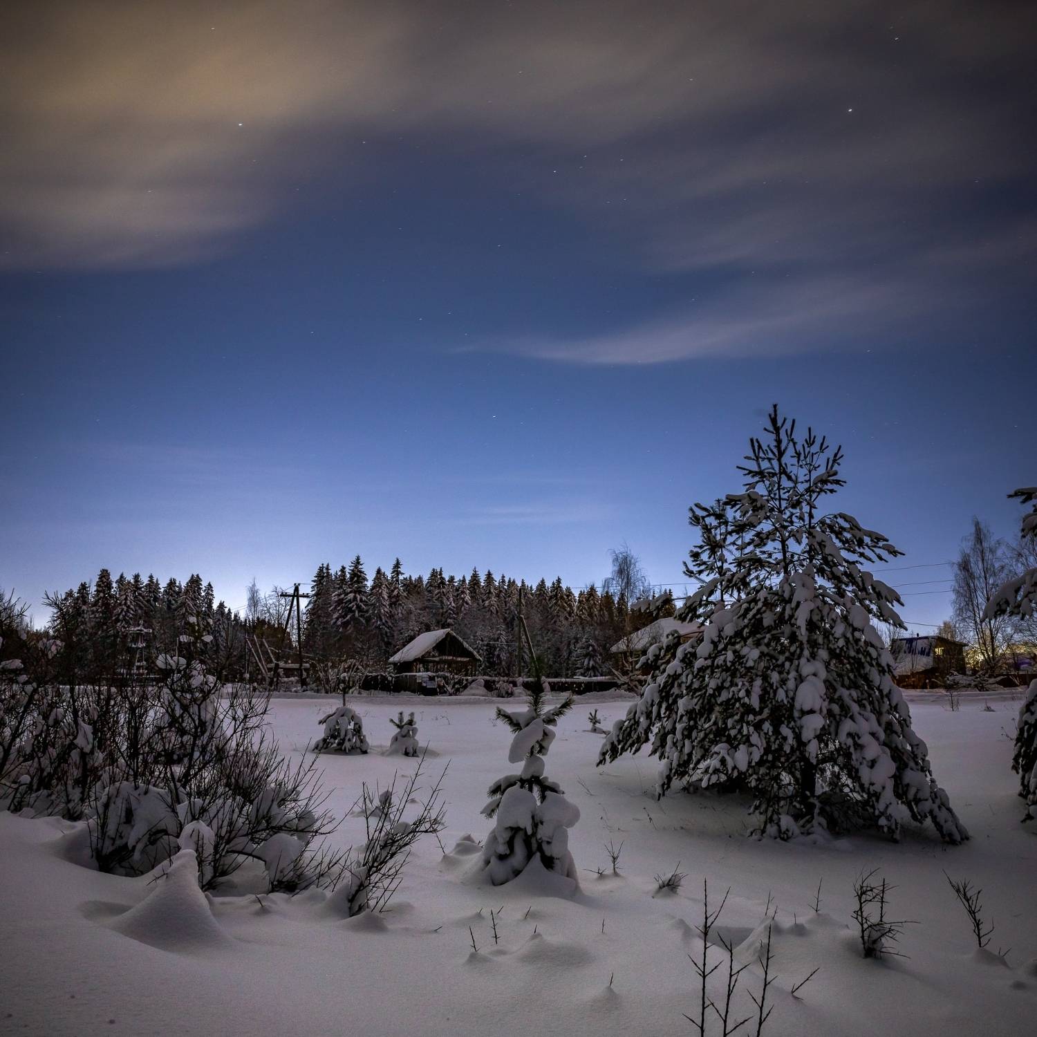 ночь, темно, зима, холодно, снег, ель, елка, деревня, лес, небо, облака, звезды, домики, дом, Панагушин Сергей