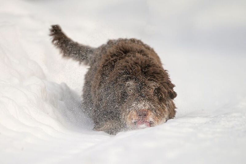 Fanya фото превью