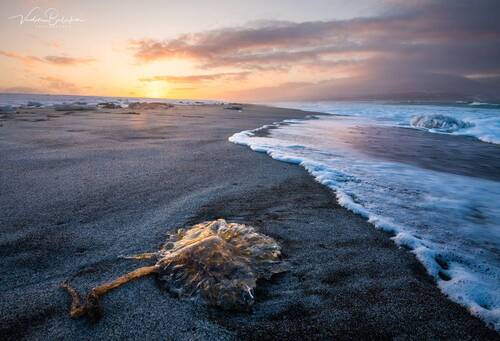 Охотское море, Итуруп