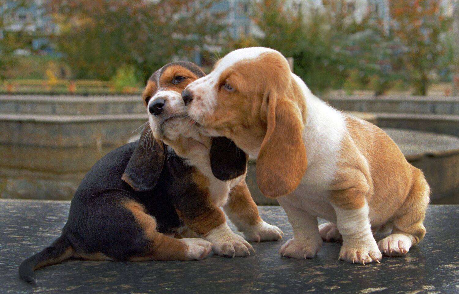 , Ушаков Валерий