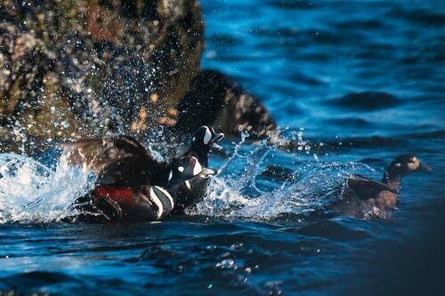 Погнали, пацаны
