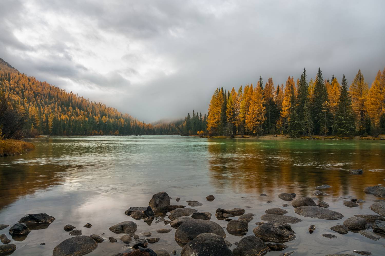 россия, горный алтай, река, туман, утро, осень, Андрей Поляков