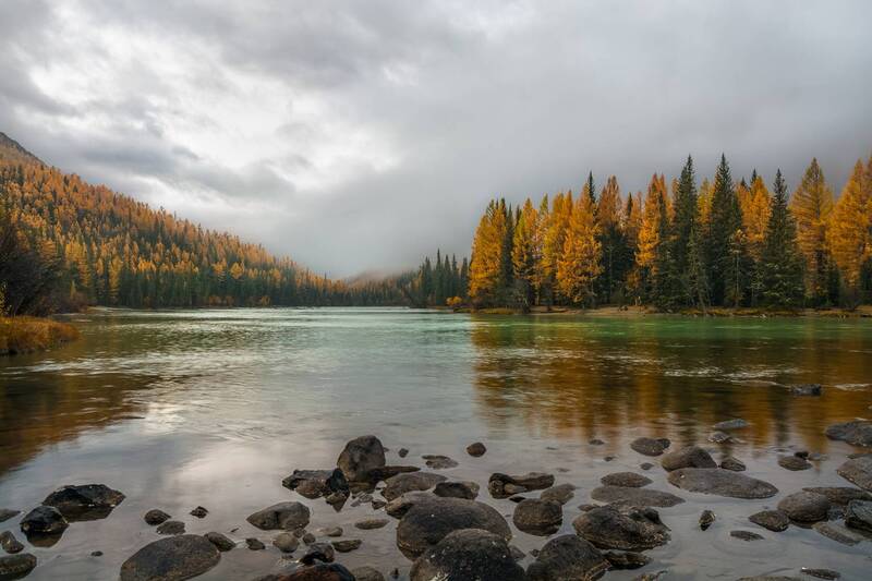 россия, горный алтай, река, туман, утро, осень Утренний туман фото превью