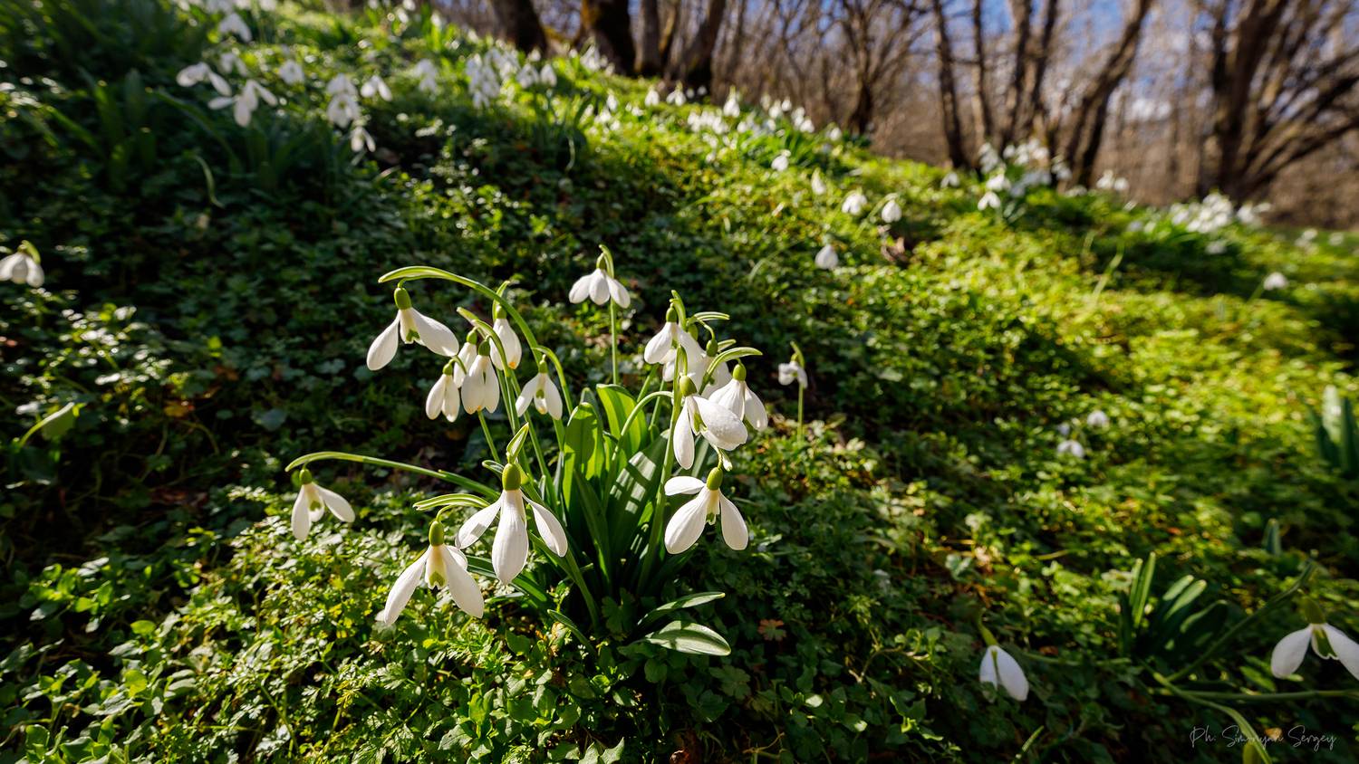 , Симонян Сергей