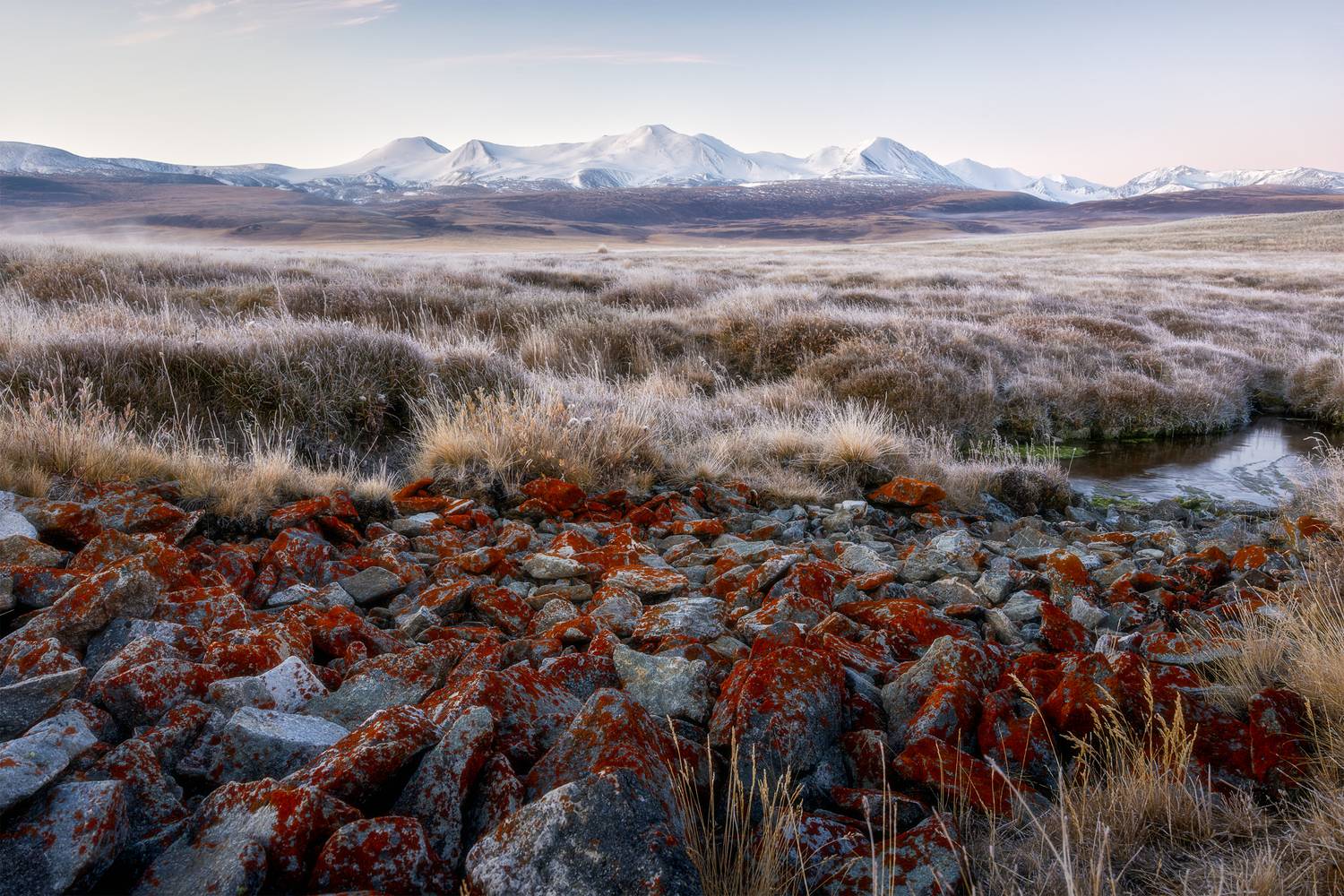 табын-богдо-ола, укок, алтай, осень, колгуты, республика алтай, горный алтай, плато укок, плоскогорье, таван-богдо-ула, Телешов Александр