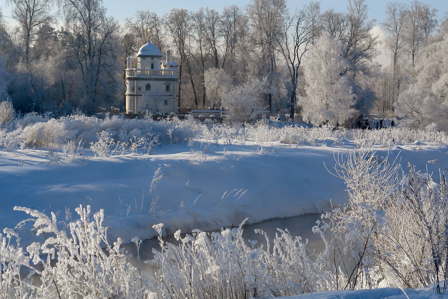 истра, мороз, иней, Медведев Александр