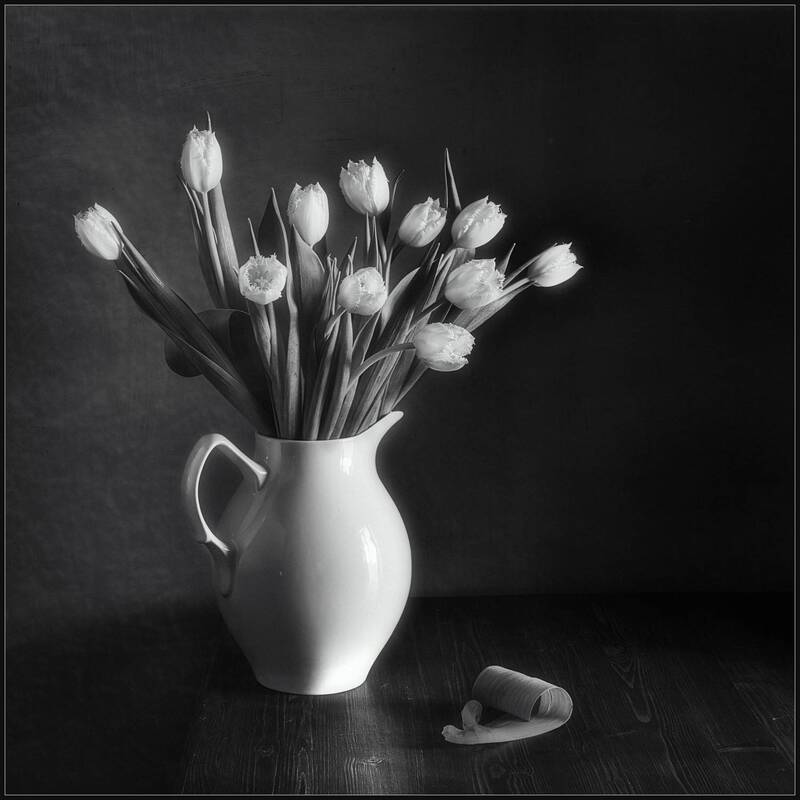 Тюльпаны фото превью