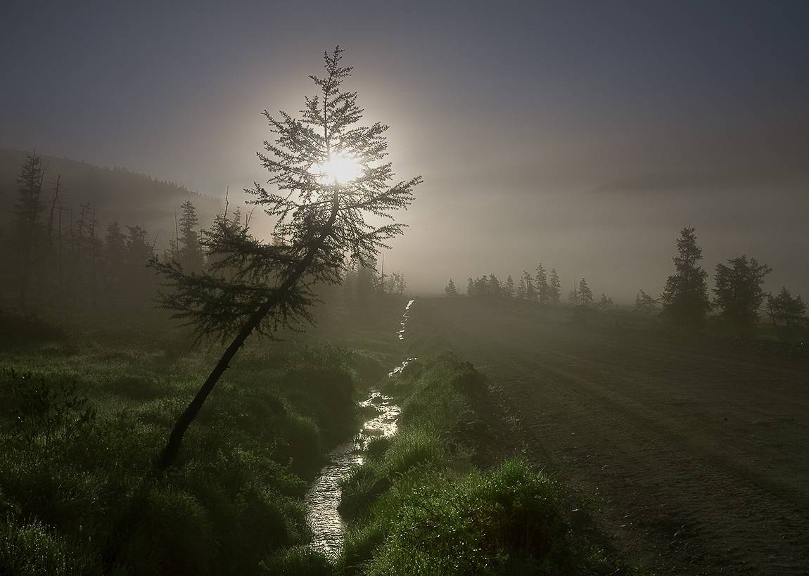 сибирь, восточные саяны., Сергей Захаров.