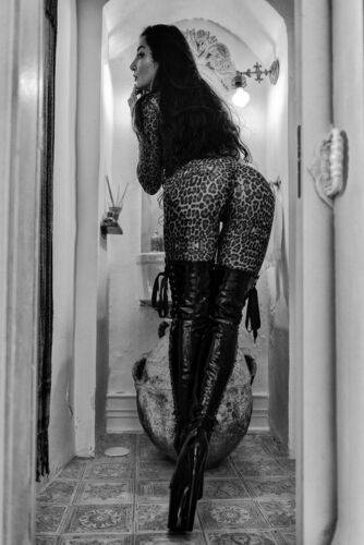 Where Shadows Dance and Leather Whispers