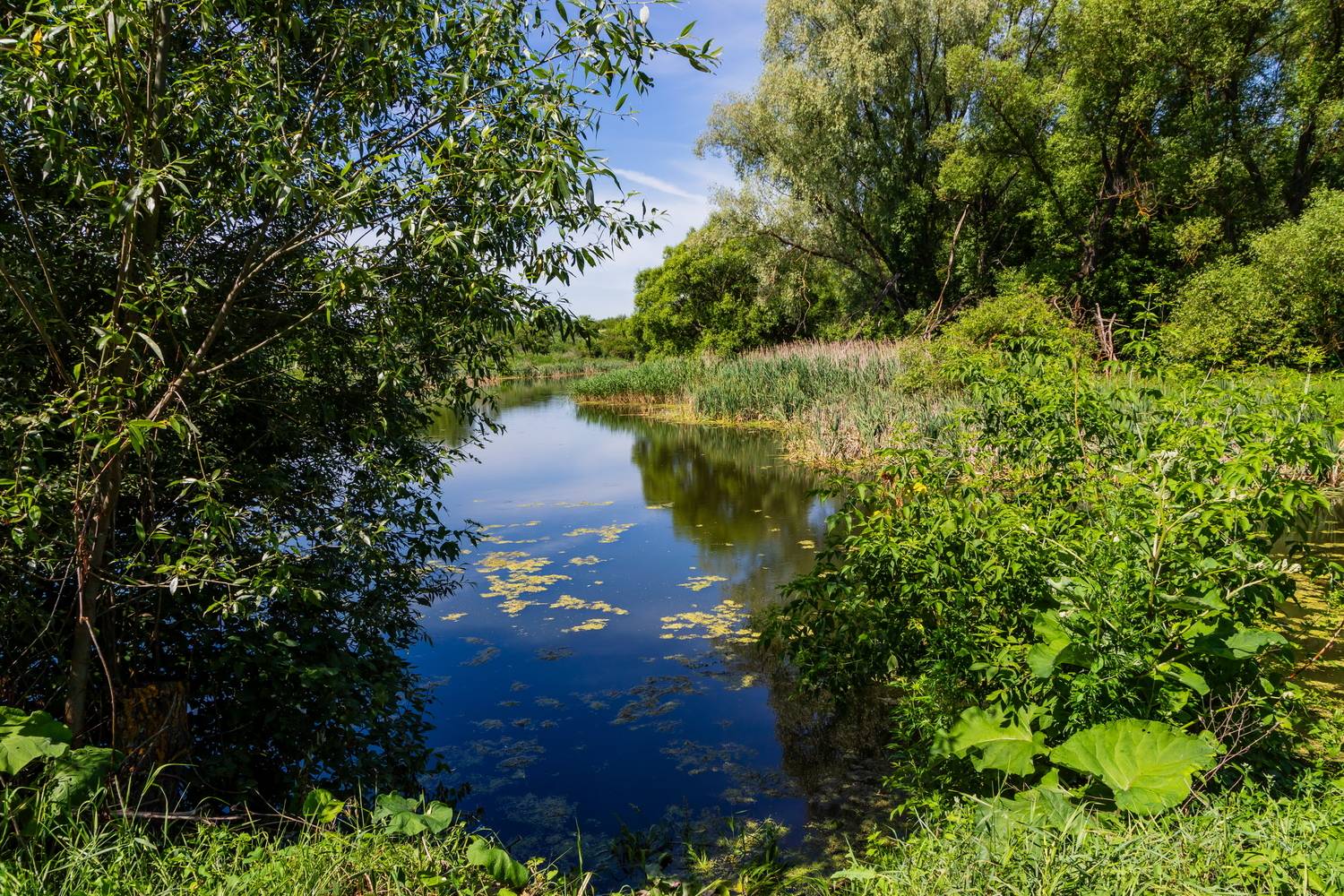Пейзаж, Юрий Морозов