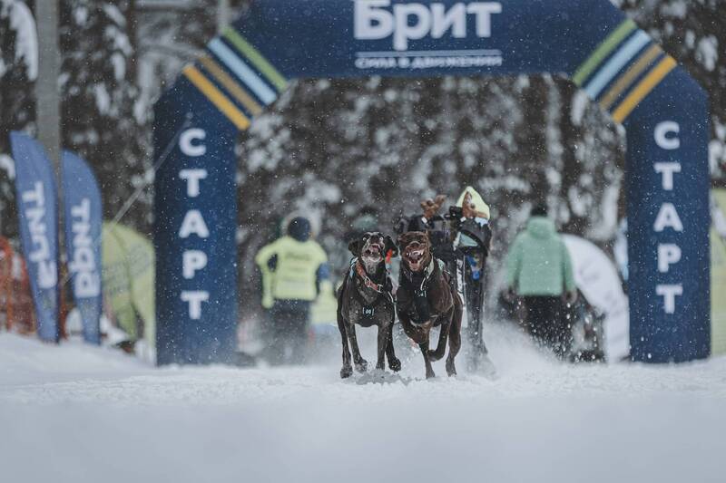 Азарт фото превью