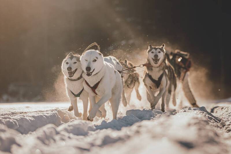 В лучах заката фото превью