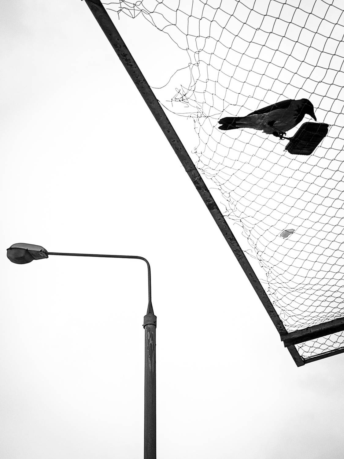 , Денис Бородич