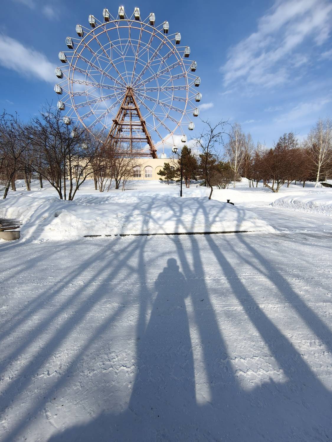 тень, город, колесо обозорения, новосибирск, Козлова Галина