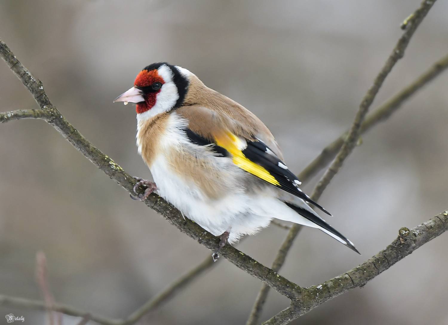 , Наталья Екимова