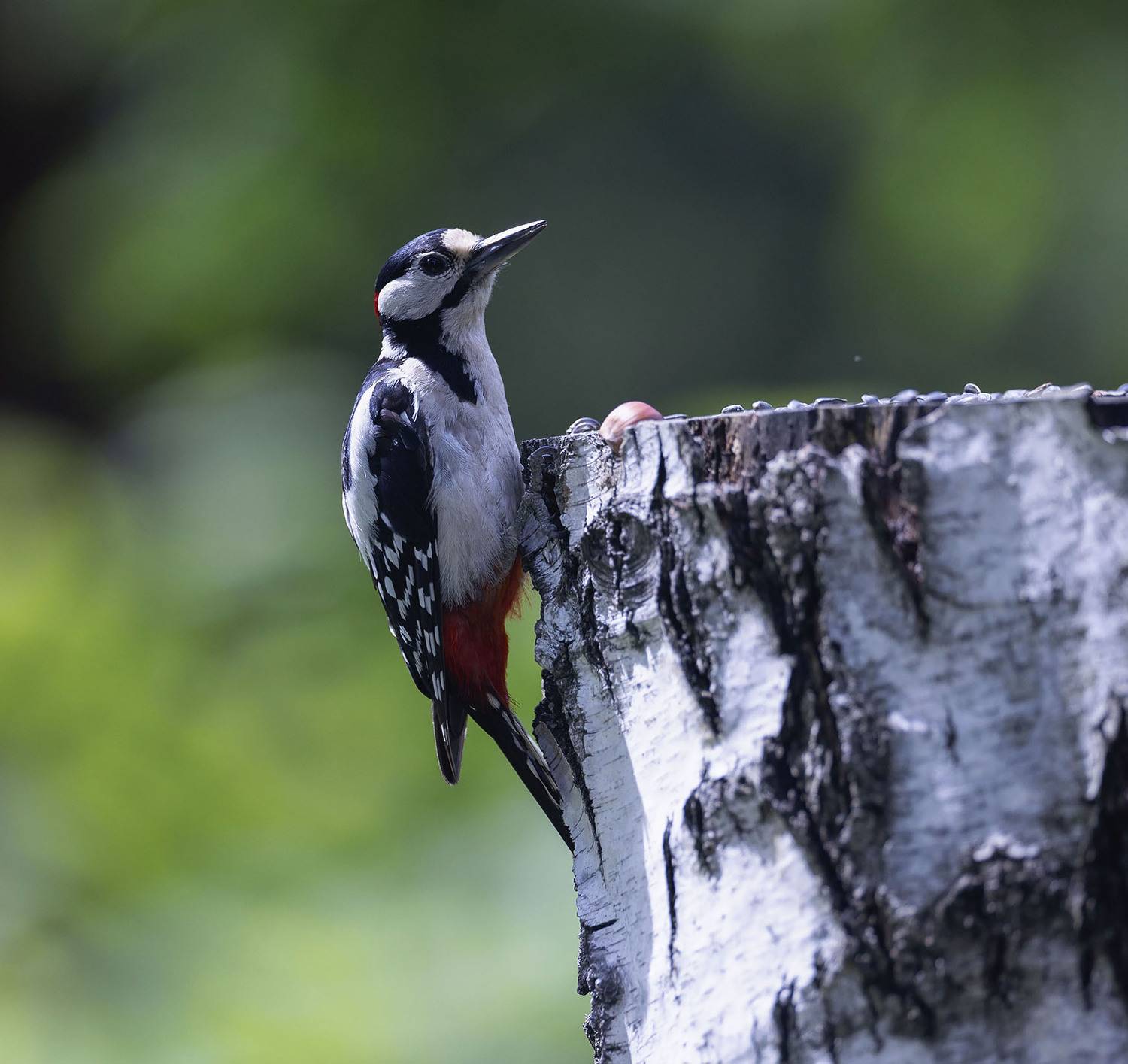 , Стукалова Юлия