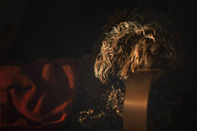 La Luz фото превью