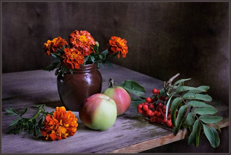 2яблочка фото превью