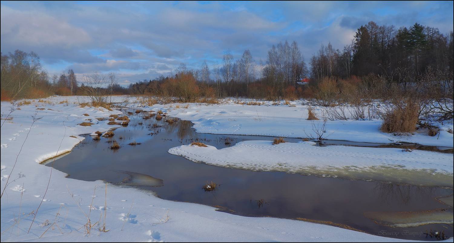 , Болеско Виктор