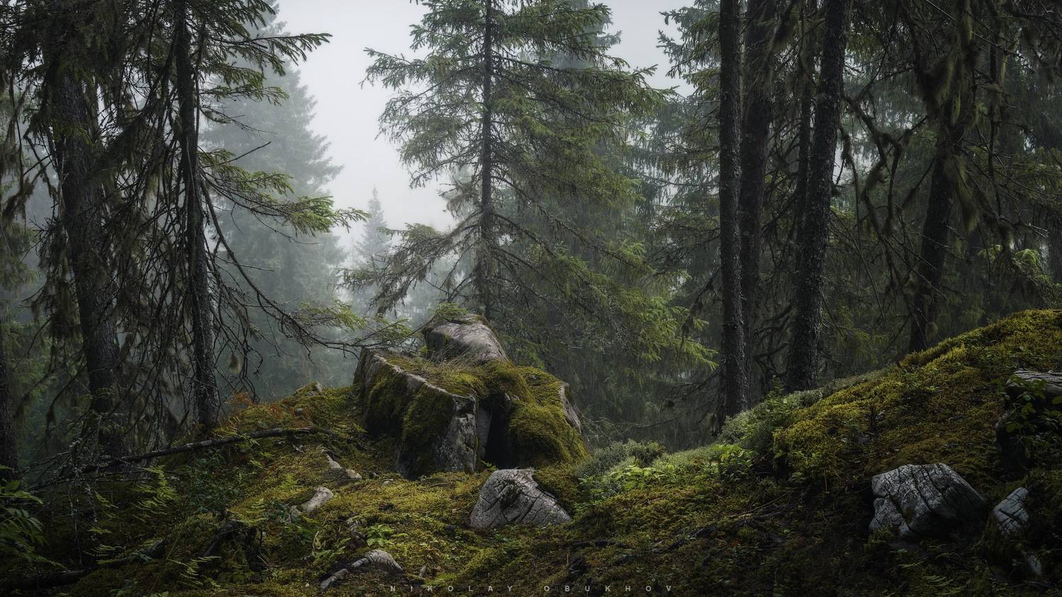 , Обухов Николай