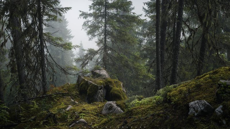 *** фото превью