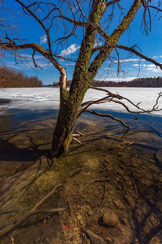 валдай Весна на Валдае фото превью