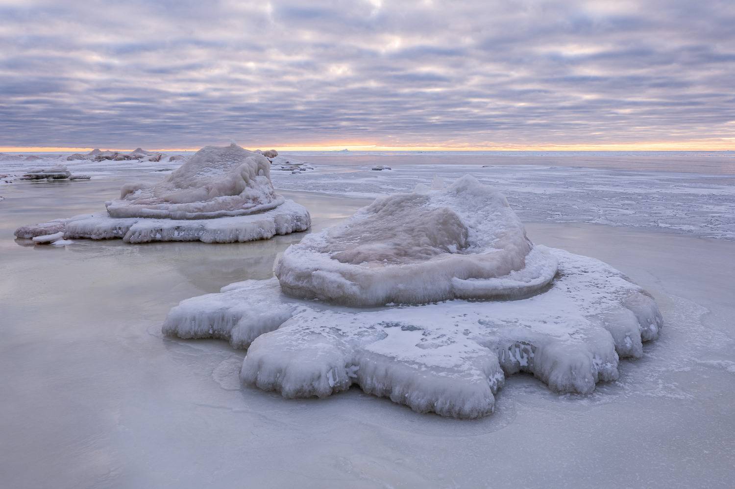 , Гордон Николай