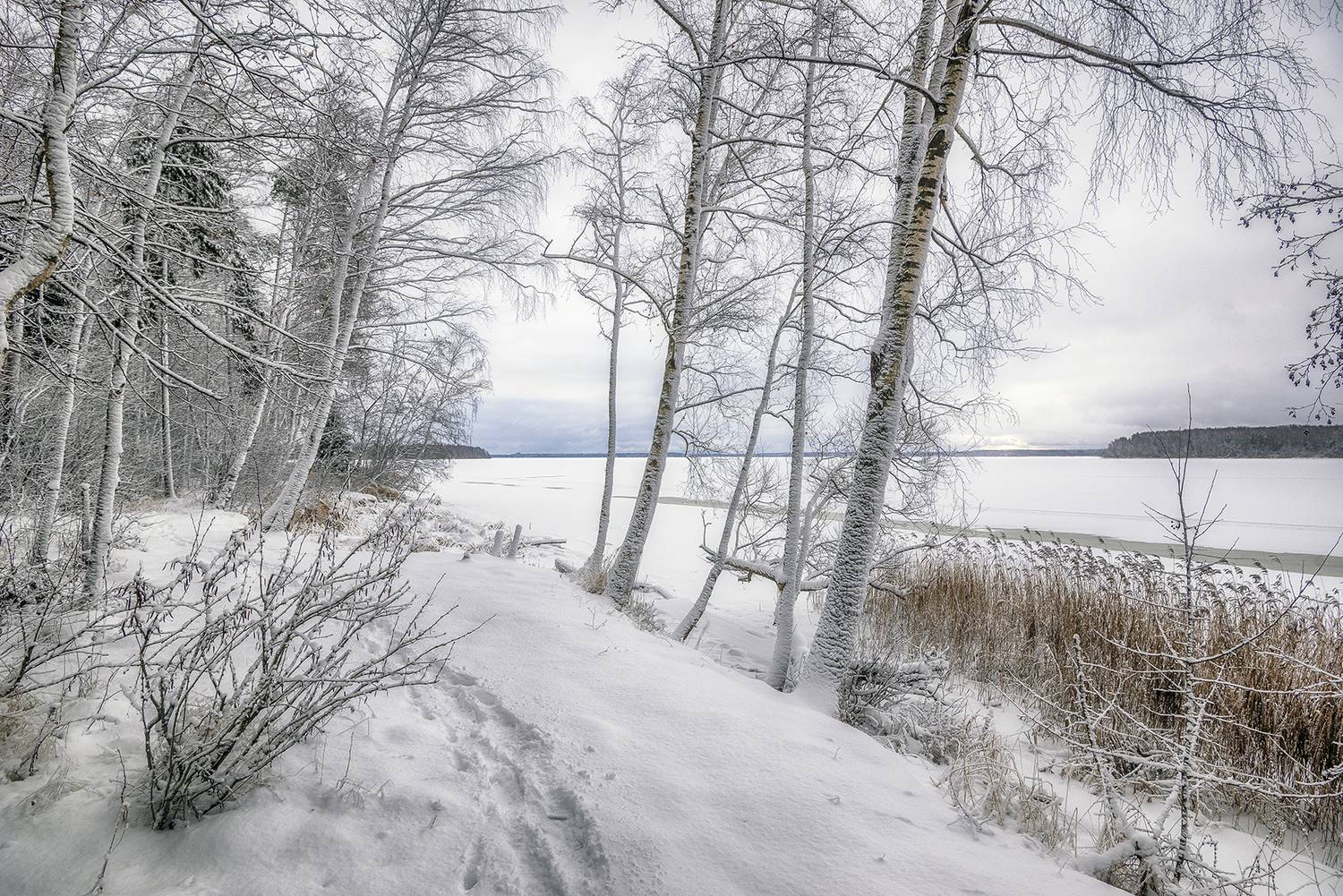 , Сергей Аникин