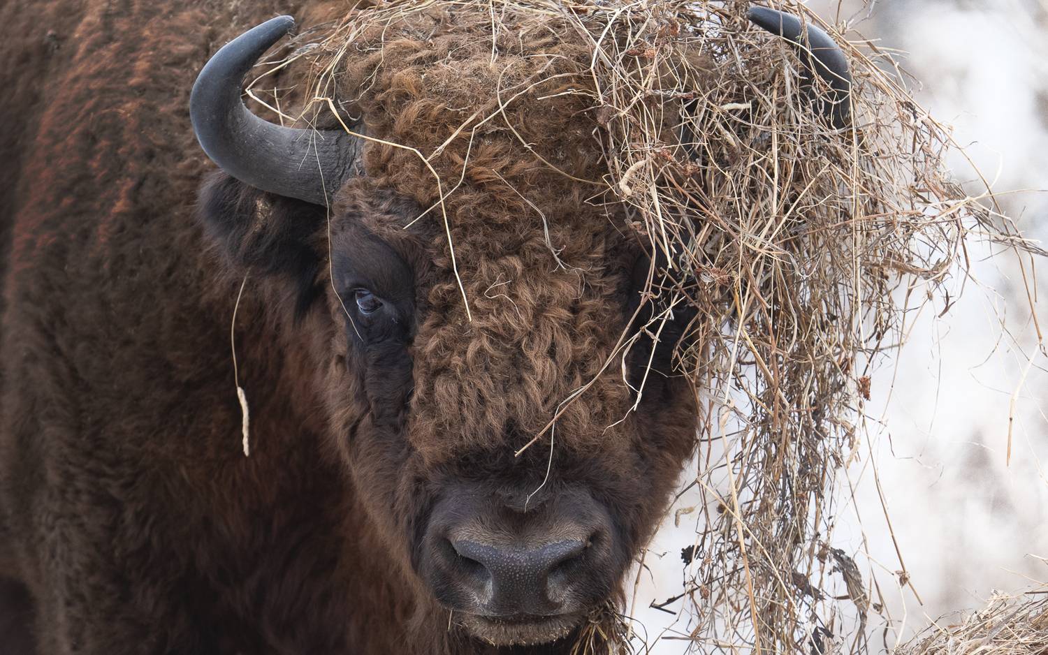 , Важенин Евгений