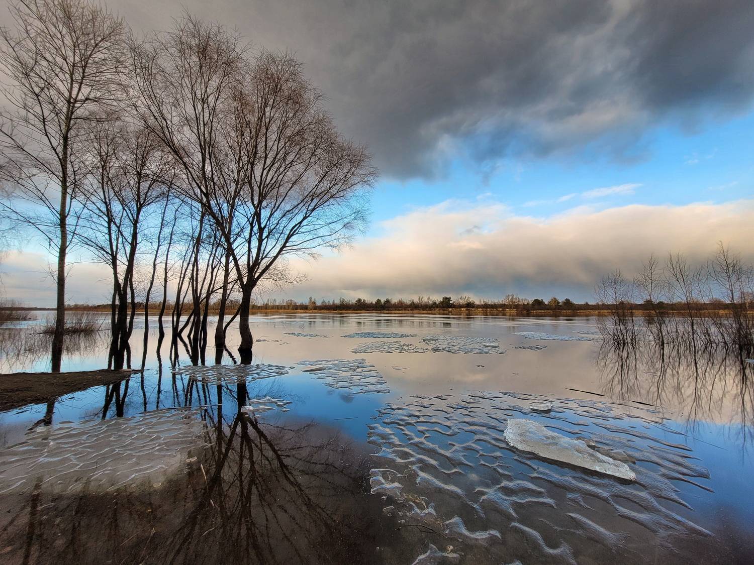 мобилография, Шляга Сергей