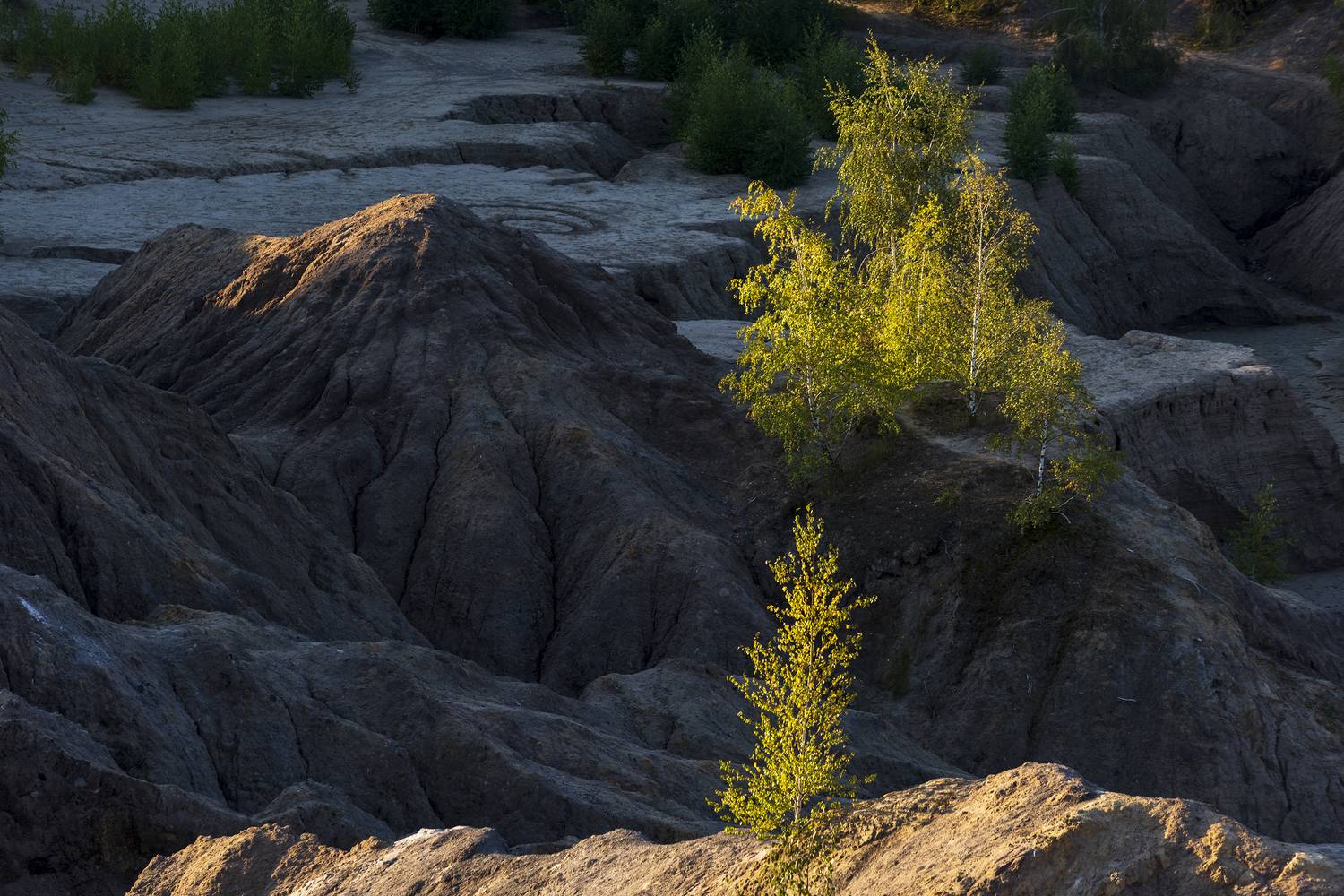, Дмитрий Новоселов