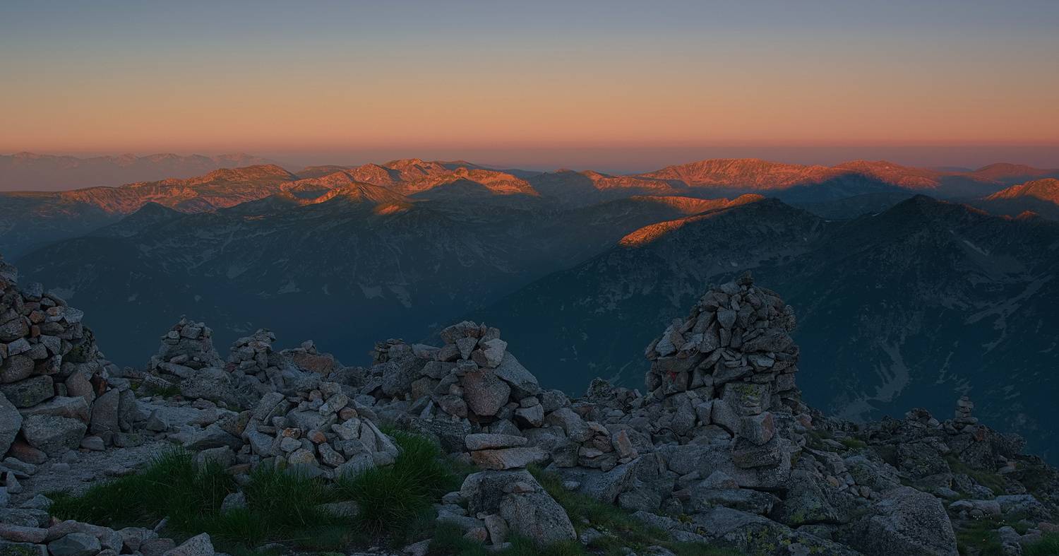 , Wojciech Tarnowski