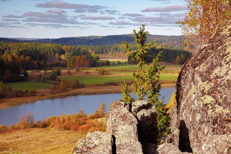 риуттавуори, риеккалансаари, riuttavuori, riekkalansaari, можжевельник, ладога, ладожские шхеры, сортавала, карелия, karjala, ladoga, фототуры по ладоге, туры по карелии, северное приладожье Можжевеловые горы фото превью