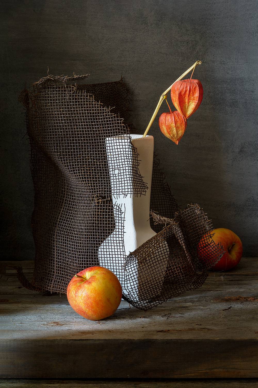 яблоки, физалис, сетка, металл, ваза, Алексей Бычков