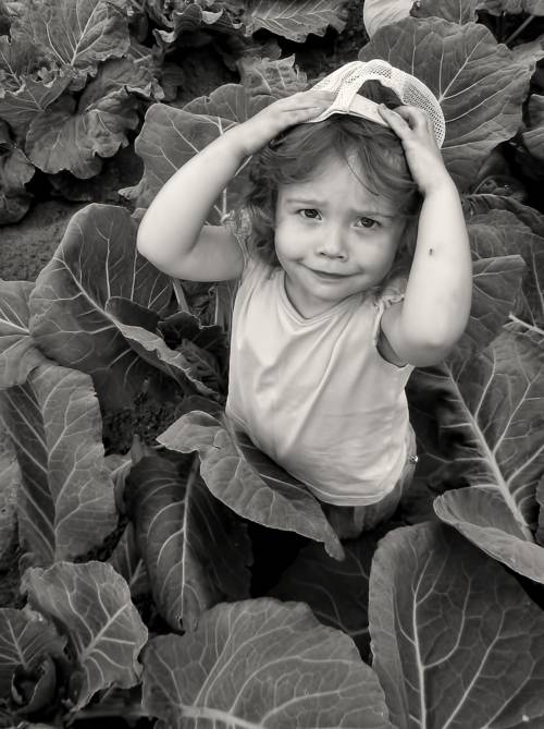 , Савоцкий Роман