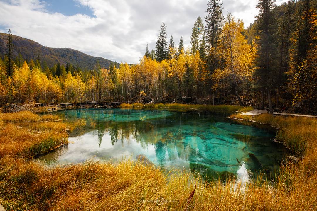 , Станислав Аристов