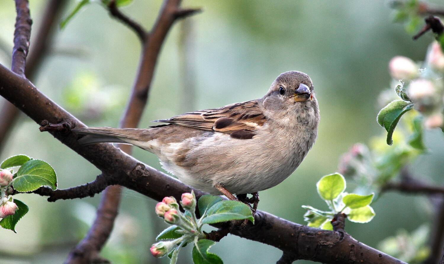 , Ушаков Валерий