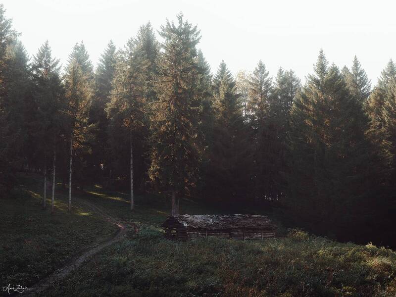 house, woody, forest, tree, travel, landscape, nature, lgiht Woody House фото превью