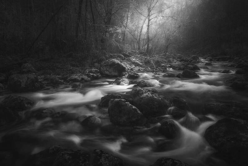 Into a Vale of Endless Time фото превью