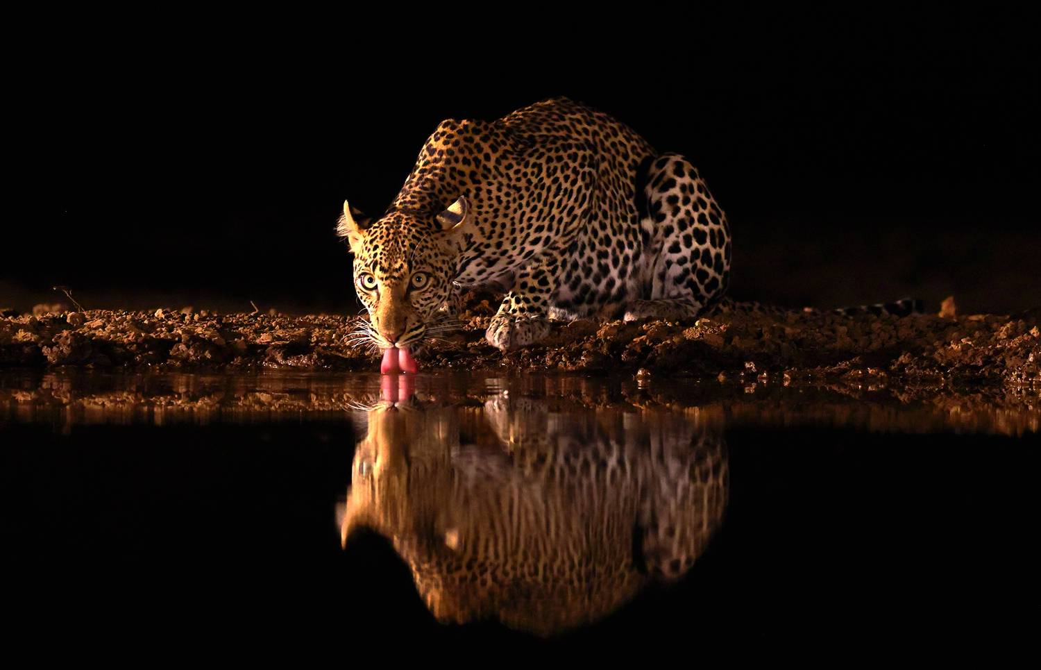 , Гудков Андрей